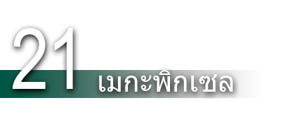 21 เมกะพิกเซล