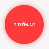 การพัฒนา