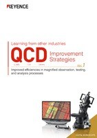 Learning from other industries QCD Improvement Strategies Vol.1